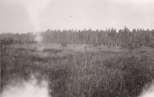 Komppania etenee suolla