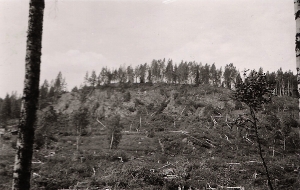 Laajan taistelumaastoa