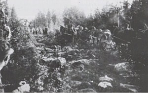 Osasto Pikku-Riekko etenee